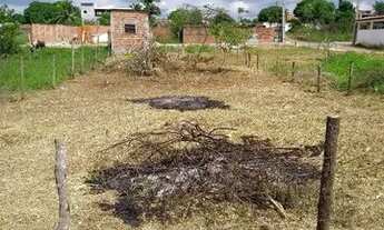 Imagem 3: Terreno Camaçari