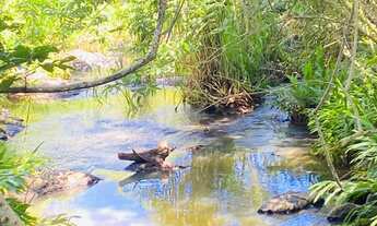Imagem 5: Linda chácara em Itauçu