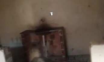 Imagem 2: Duas casas para alugar