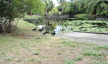 Imagem 6: Apartamento 1.060 mts² com 6/4, 6 suítes em Busca-Vida - Camaçari