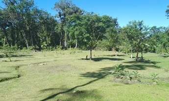 Imagem 5: Sítio em Cubatão de Guaratuba