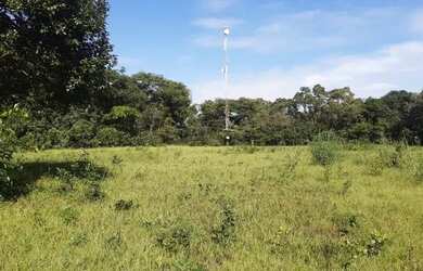 Imagem 7: Vende-se Chácara próxima onde deverá ser construído o Cristo - M. do Chapéu - Palma/TO