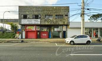 Imagem 6: Loja Nossa Senhora Aparecida