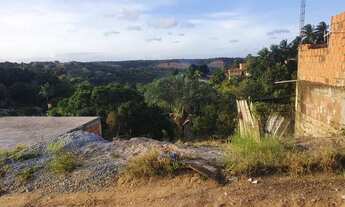 Imagem: Dispensso curioso