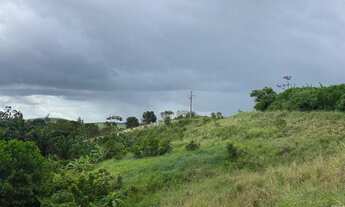 Imagem 5: Lote/Terreno para venda possui 40 ha em Moreno - Pernambuco