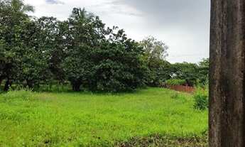 Imagem 3: Sítio com casa grande bem plantado, perto de Fortaleza e da CE 040