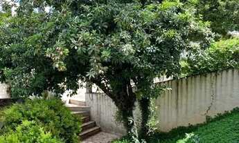 Imagem 7: Casa residencial e comercial para venda ou locação em Valinhos