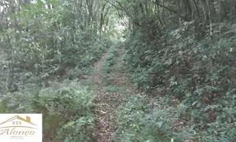 Imagem 2: Área de terra bairro Linha Imperial, Nova Petrópolis RS Ref.:884