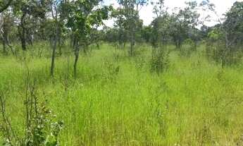 Imagem 5: Fazenda de 4.849,68 hectares Arraias-To