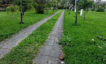 Imagem: Vende excelente chácara com 35000m2 toda