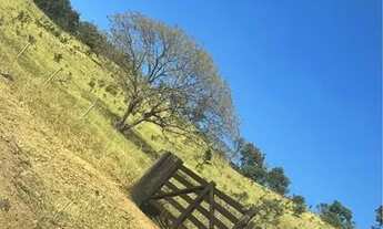 Imagem 2: Fazenda município de Cocalzinho-go