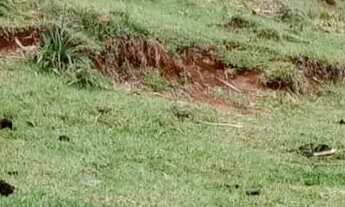 Imagem: Terreno 19 mil m2 pasto em Nazaré Paulista