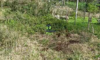 Imagem 3: Chácara com 4.068m² em Mandirituba - PR