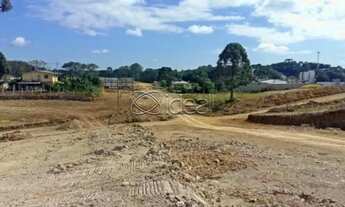 Imagem 3: EXCELENTE TERRENO INDUSTRIAL EM ANA RECH- CAXIAS DO SUL