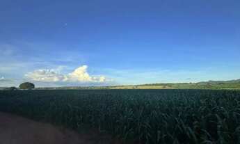 Imagem 2: Fazenda a Venda - Itaberaí - GO