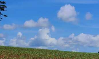 Imagem 6: Fazenda a venda, em Uruana - Goiás