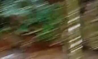 Imagem 7: A&M IMOVEIS VENDE EXELENTE FAZENDA COM 400HECTARES EM PARACATU MG