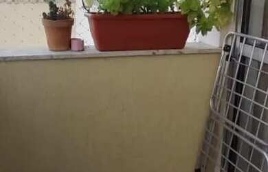 Imagem 3: Apartamento à Venda - Supremo Family Club