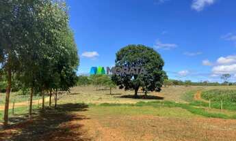 Imagem 4: FAZENDA À VENDA - 1.400 HECTARES - CURVELO (MG