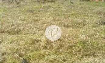 Imagem 2: Terreno para alugar, 2400 m² por R$ 18.200,00/mês - Jardim Jamaica - Santo André/SP