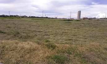 Imagem: Lote em condominio fechado Damha IV em São