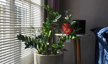 Imagem 6: Apartamento 84m2 mobiliado, 3 dorm, 1 suíte, 1 vaga, frente mar à venda no Coqueiros, Flor