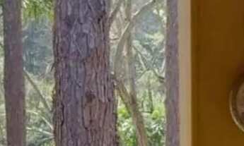 Imagem 6: Sítio com 5 dormitórios à venda, 449668 m² por R$ 1.500.000,00 - Tapera Grande - Mairiporã