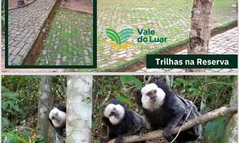 Imagem 6: Terreno condomínio fechado