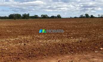Imagem 2: FAZENDA À VENDA - 1.400 HECTARES - CURVELO (MG