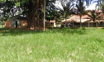 Imagem 4: Sítio 7.9 alqueires com rio em trindade Goiás