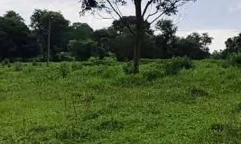 Imagem: Chácara Cezarina