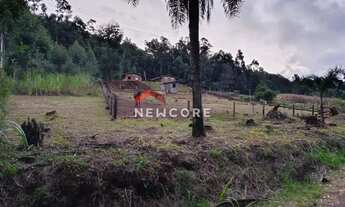 Imagem 6: Chácara em Estrada Geral da Batingueira - Recosta - São Francisco de Paula/RS