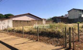 Imagem 3: Terreno disponível para Venda 600,00 m² no bairro Santa Mônica em Uberlândia-MG
