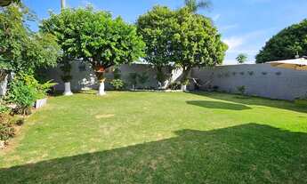 Imagem 3: Casa ampla Faxinal