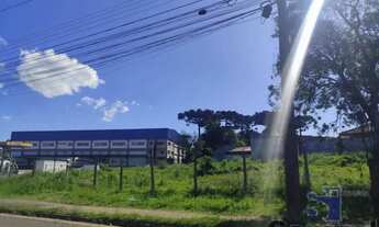 Imagem 6: ÁREA QUISSISSANA / COSTEIRA SÃO JOSÉ DOS PINHAIS