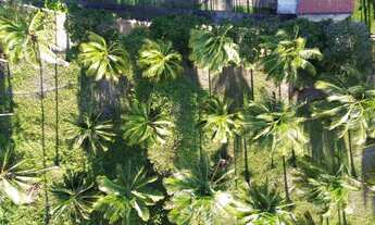 Imagem 7: Áreas à venda em rua pública, MOSQUEIRO, Aracaju, SE