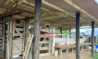 Imagem 6: Sitio 19 alqueires (91,96 hectares) Jandaia - Go