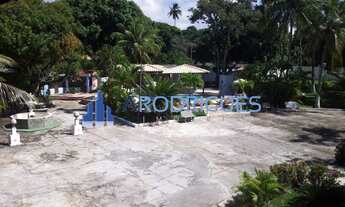 Imagem 7: SITIO EM MONTE GORDO, CAMAÇARI, BAHIA, 7.000 MTS, OPORTUNIDADE