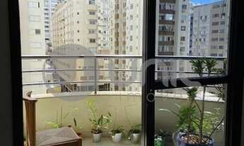 Imagem 2: FLORIANóPOLIS - Apartamento Padrão - Centro