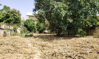 Imagem 5: Lote com 1000m? na Av.Vilarinho