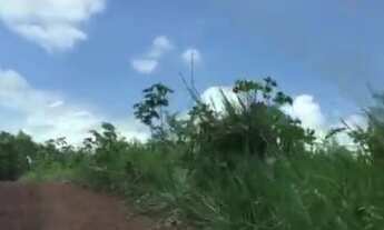 Imagem 5: 250 Hectares por 1,6 milhões de reais no Pará