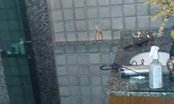 Imagem 7: Casa para venda com 360 metros quadrados com 4 quartos em Pechincha - Rio de Janeiro - RJ