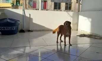 Imagem 2: Aluga se Casa com 2 dormitórios