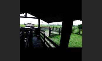 Imagem 5: Fazenda a venda 58 alqueires 47 de capim! 30 km da cidade José pó filho..?