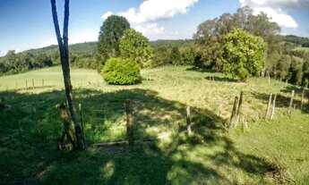 Imagem 6: Chácara Completa 10 Hect Flores da Cunha-RS