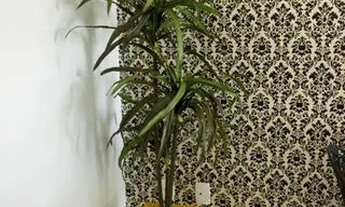 Imagem 5: Apartamento para Aluguel - Samambaia, 3 Quartos, 78 m2