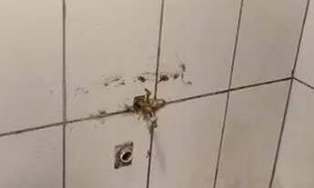 Imagem 4: Alugo kitnet na vila Califórnia (favela