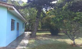 Imagem 7: Casa Casa com 4 dormitórios