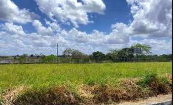 Imagem 2: LIMOEIRO - Casa Padrão - CAMPO GRANDE