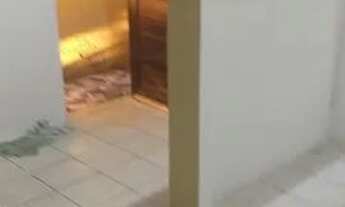 Imagem 2: Aluga-se casa Casa com 1 dormitório